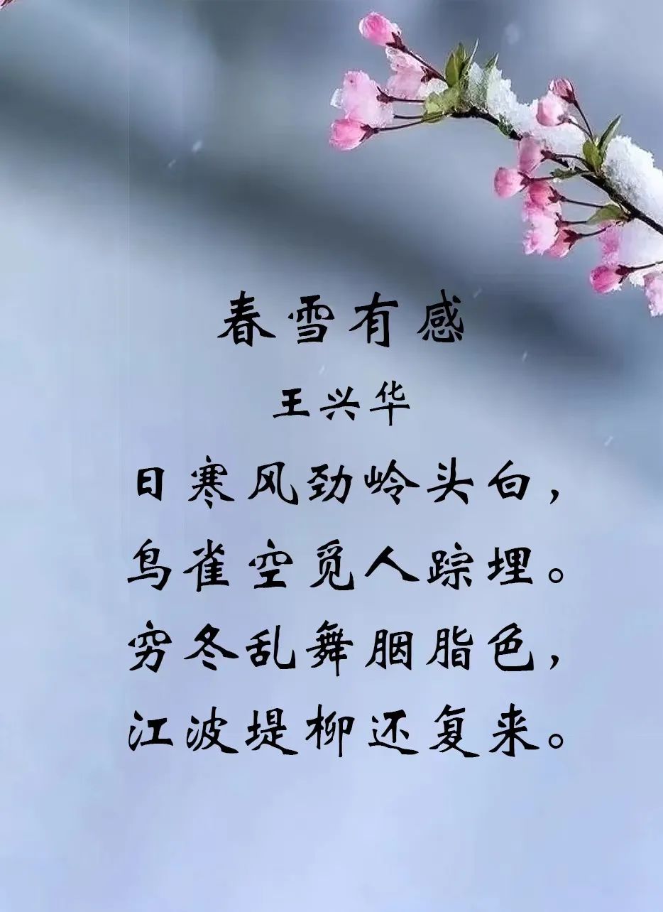 1648107735222000.jpg 1.jpg
