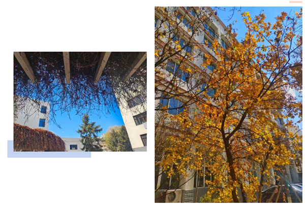 1736221738697200.png 联想截图_20250107113159.png