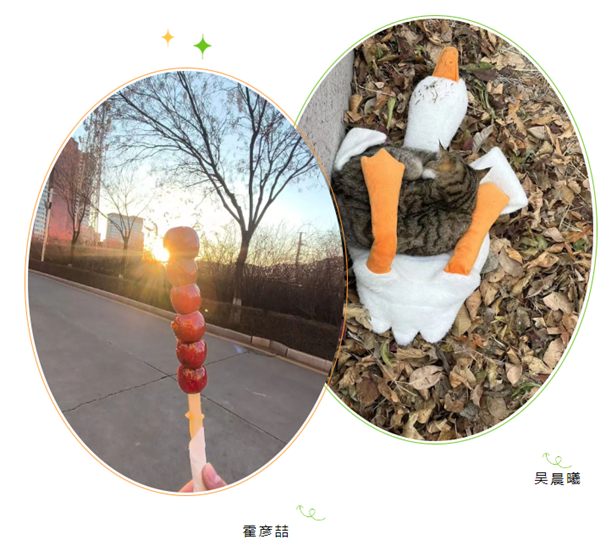 1736221764128488.png 联想截图_20250107113211.png