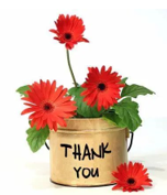 1663578445100694.png image.png