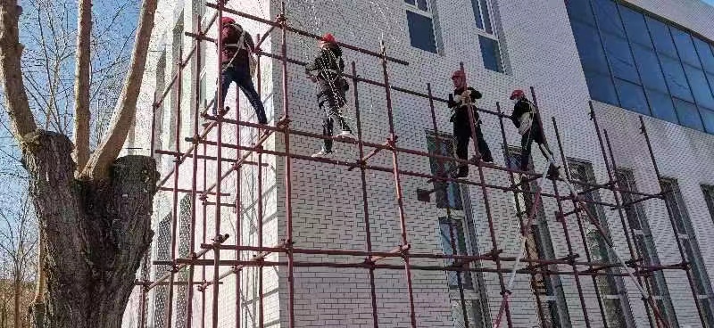 1683252321979145.jpg 1683252321979145.jpg