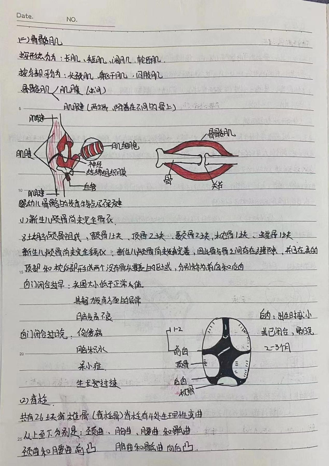 1684924747244377.png
