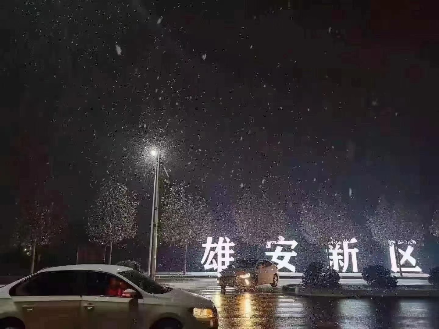 mmexport1607006513172.jpg